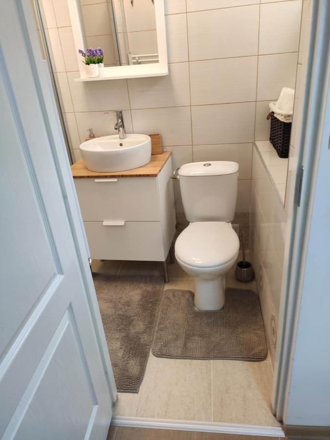 Apartment Bianco Central Сибиу Екстериор снимка