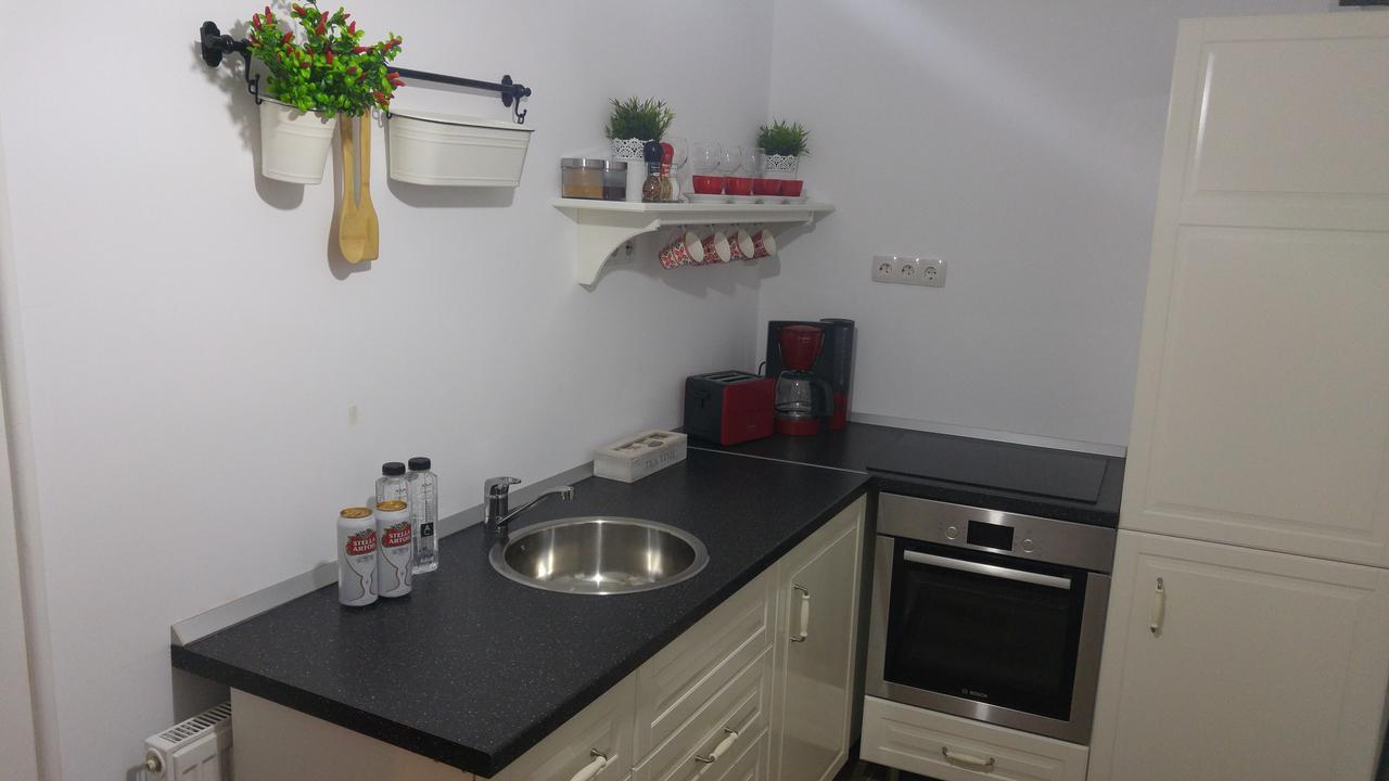 Apartment Bianco Central Сибиу Екстериор снимка